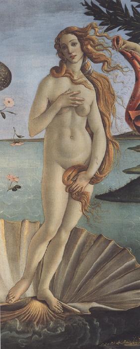 Sandro Botticelli The Birth of Venus (mk36) oil painting image